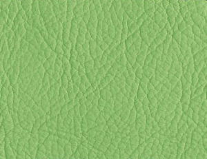 Stressless Paloma Summer Green 09491 Leather from Ekornes