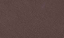 Fjords Walnut NL 129 Nordic Line Leather 